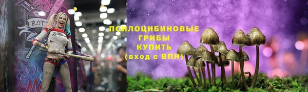 винт Алексин
